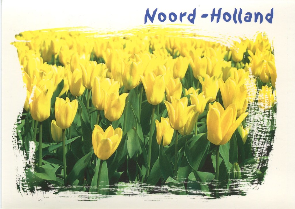 Noord-Holland | Flickr