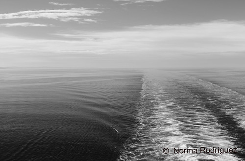 Route | by normarodriguez10