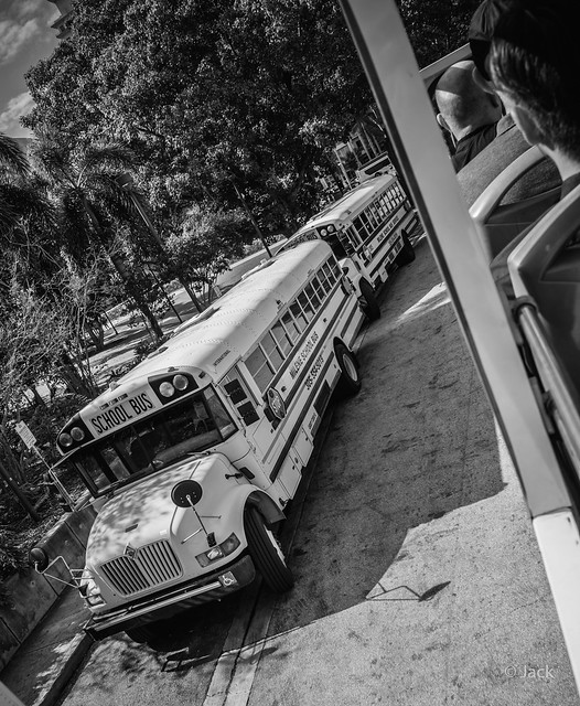 Miami mood - school bus