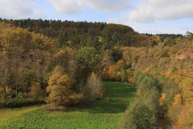Germany / Rhineland-Palatinate - Moselle Valley