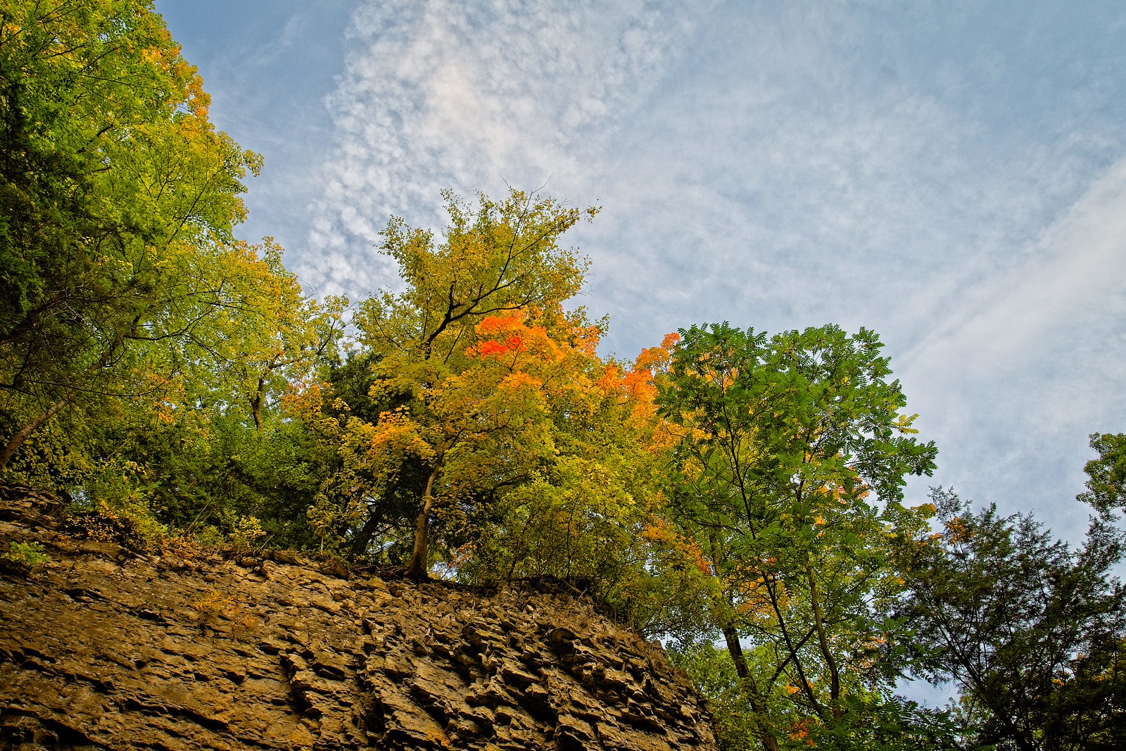 Fall 2020 | Flickr