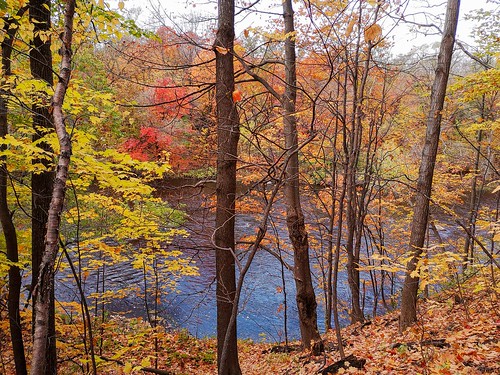 automne autumn parcchauveauquébec canada 12136 vue de la rivière saintcharles à travers les arbres view river through trees
