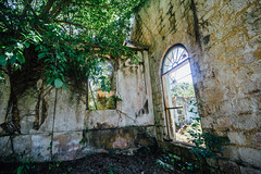 Jungle & Windows in Duppy Church, Mile Gully Jamaica