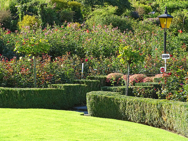 Rose Garden, Butchart Gardens, Victoria B.C. Canada