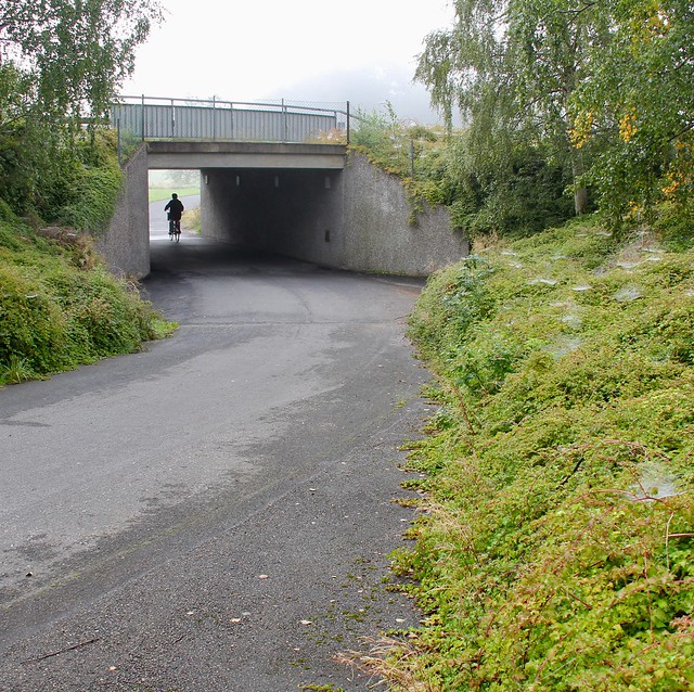 Underpass and Dew