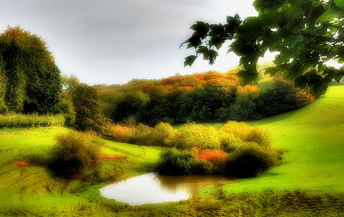 autumn yorkshire yorkshirewolds wolds landscape yorkshirelandscape countryside northyorkshire photomatix hdr godsowncounty glow samsung samsungs7 greatgivendale
