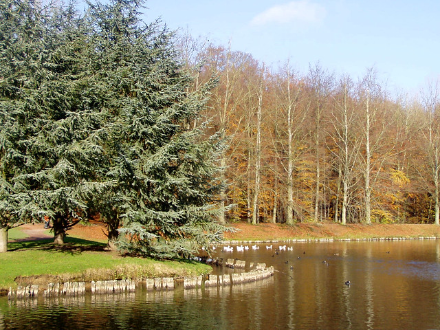 Park van Tervuren