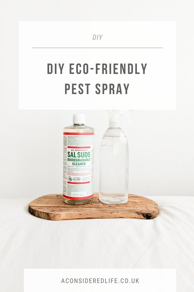 DIY Pest Spray For House Plants
