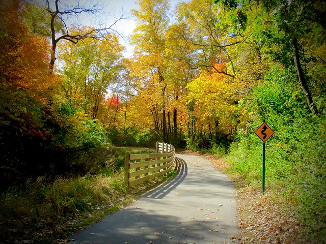 Cheeney Creek Natural Area, Fishers, IN, USA