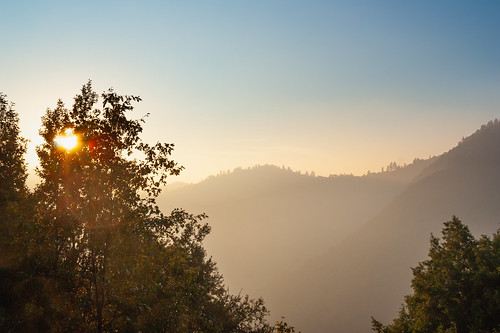 california californiahw198 generalshwy sequoianationalpark sierranevada sunset usa forest trees