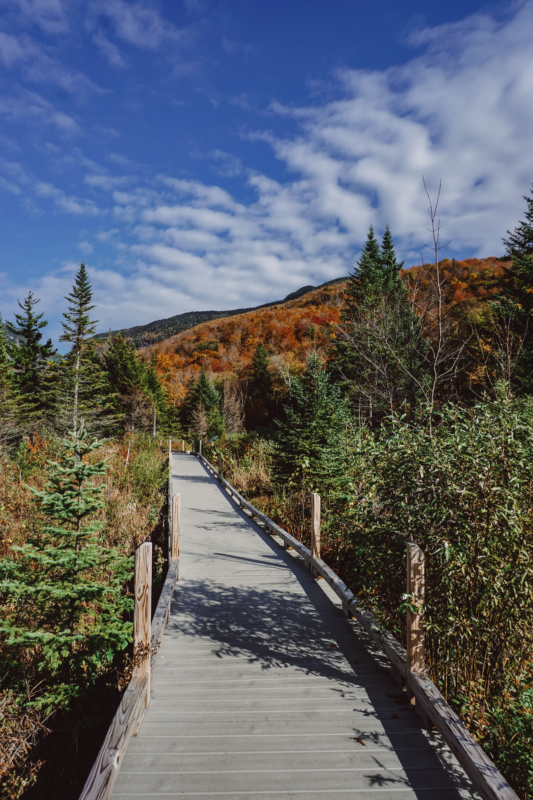 Stowe Mountain Resort | Stowe VT | My Complete Vermont Fall Travel Guide: What to See, Do & Eat | Ultimate Fall Guide to Vermont | 5 Day Vermont Road Trip | Fall Foliage Road Trip Guide