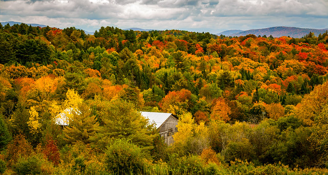 Fall Color - Northern Vermont