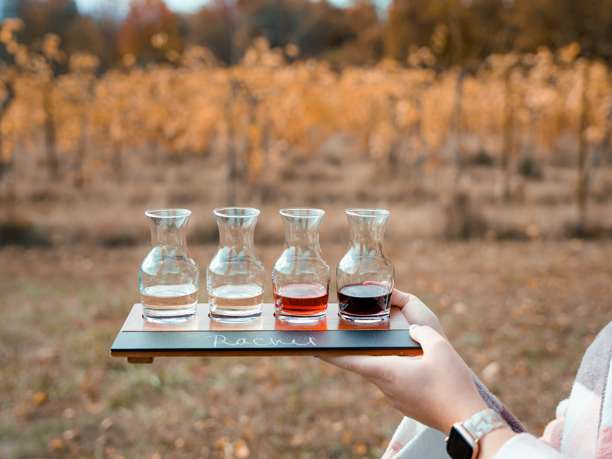 Shelburne Vineyard Winery | Shelburne VT | My Complete Vermont Fall Travel Guide: What to See, Do & Eat | Ultimate Fall Guide to Vermont | 5 Day Vermont Road Trip | Fall Foliage Road Trip Guide