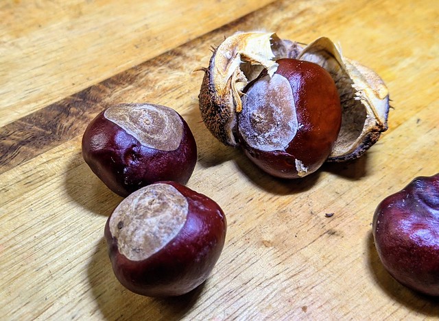 Conker time