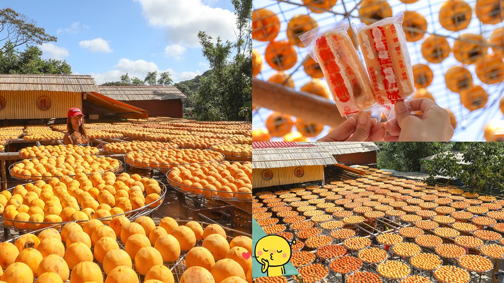 新竹旅遊：味衛佳柿餅觀光農場，曬柿子、拍柿子景點！免門票參觀