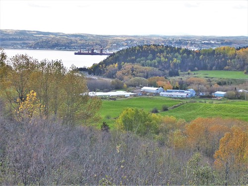 sag-2 la baie 5 (48)