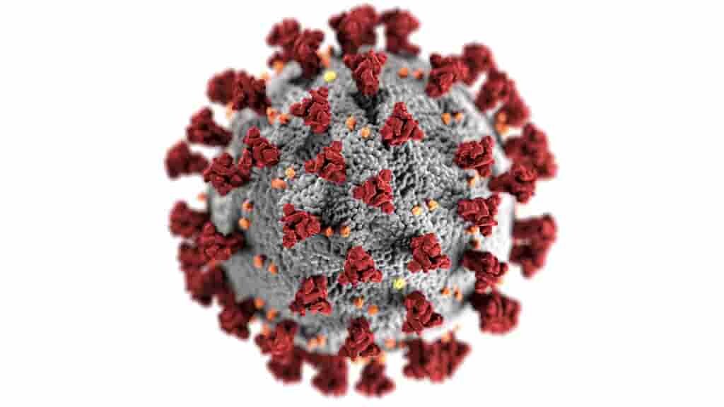 un-nouveau-test-détecte-le-corovirivus-en-5-minutes