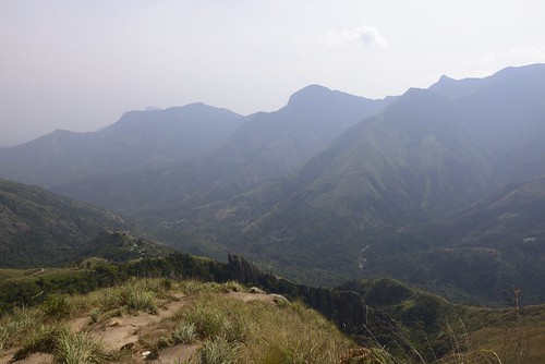 india munnar topstation tamilnadu