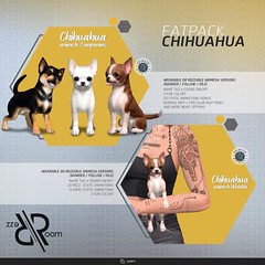 [Rezz Room] Box Chihuahua Animesh FATPACK