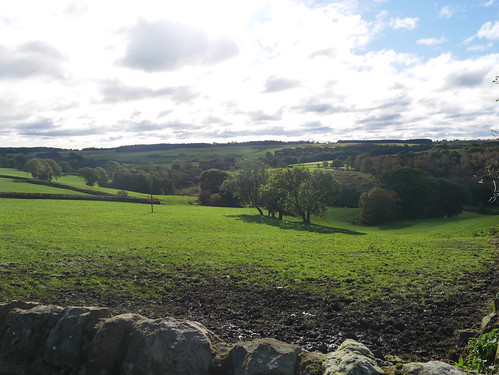 Yorkshire Views