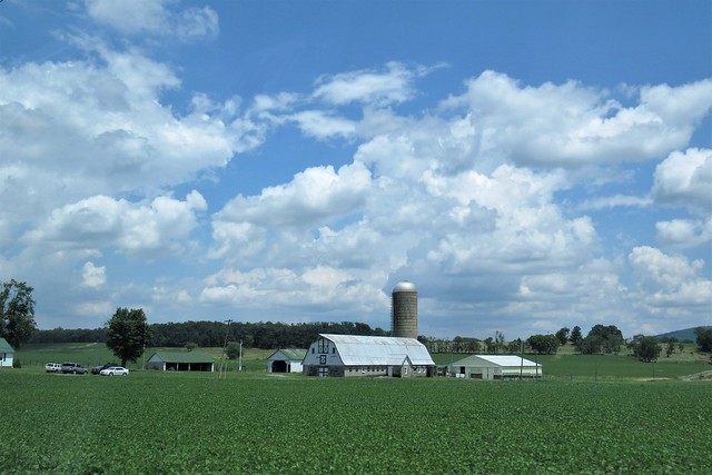 Barn and silo, green fields and sky, Route 85 near Buckeystown, Maryland