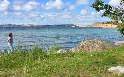 nature natur reserve reservat stigfjorden fjord water vatten tjörn tjorn bohuslän bohuslan sweden sverige landscape landskap