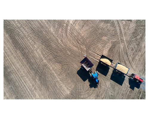 harvest soy trailer graincart tractor caseih newholland agriculture field rural landscape aerial dronephotography sainthyacinthe quebec canada