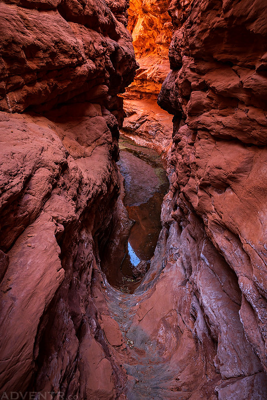 Down the Chute