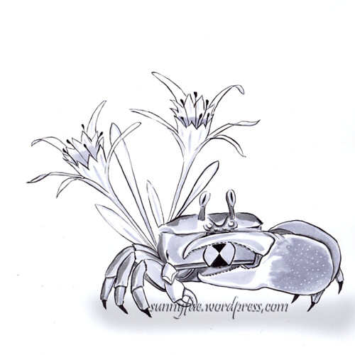 06 crab & sea daffodils