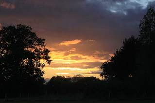 Hampshire Sunset