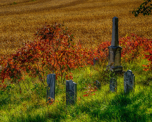 beavervalley niagaraescarpment westnottawasagapresbyterianchurch gravemonuments landscape cemetery abandoned autumn fall backroads