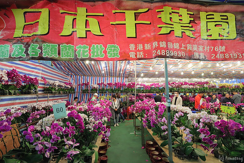 Lunar New Year Fair 2020