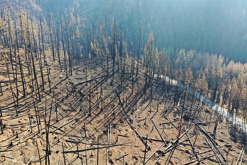 or224 estacada fire wildfire oregondot oregon odot damage trees
