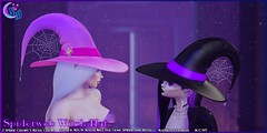 *NW* Spiderweb Witch Hats