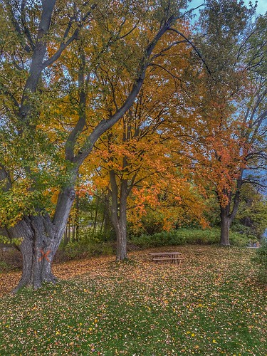 parks fall outdoors autumn landscape