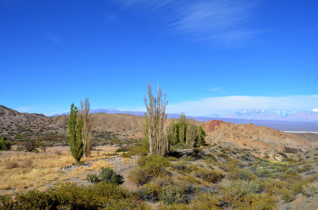 Argentina - El Leoncito Parque Nacional - Los Andes