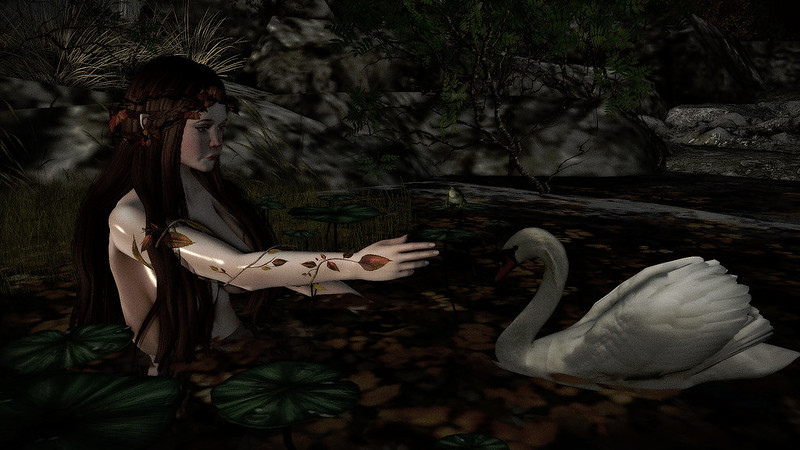 The Swan of Tuonela..