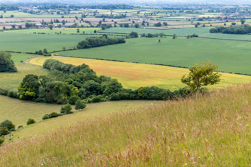 wiltshire landscape roundway field farm vista hill