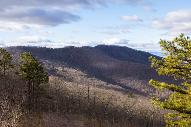 View from Jeremys Run Overlook, Winter