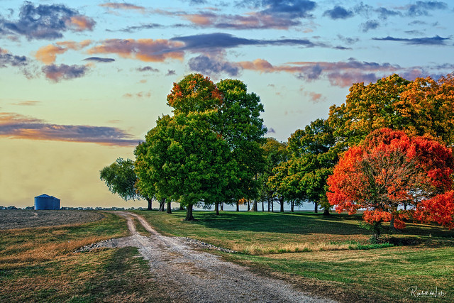 Fall Color Along A Farm Road, Sangamon County, Illinois