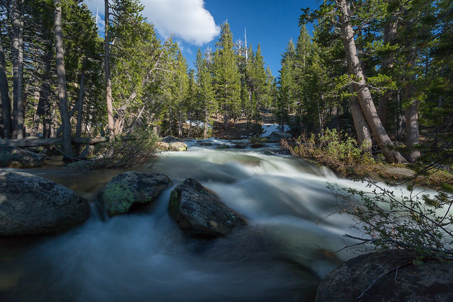 Yosemite National Park Flowing