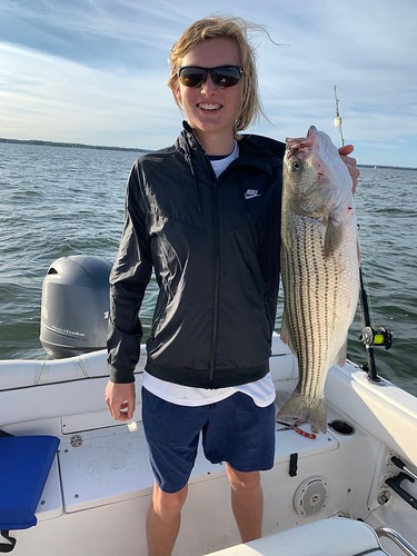 Photo of angler on a boat holding a large striped bass.