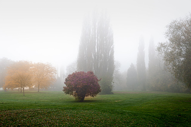 Autumn Mist (Explored)