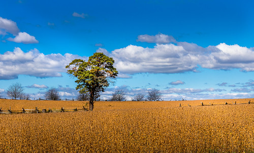 gettysburg pennsylvania sky blue gold canon sigma 1835mm landscape tree field national park nationalpark