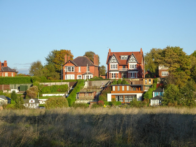 Houses across the river from the Meadows, 2020 Oct 11