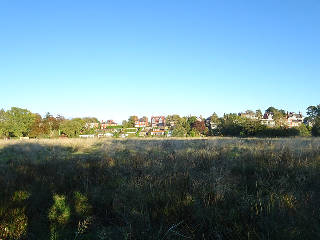 Chester Meadows, 2020 Oct 11