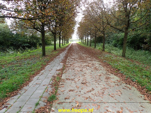 2020-10-14  Almere - Hans Prins- route  (9)