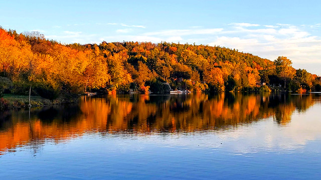 Drumlin in full fall foliage, reflected in the Trent River