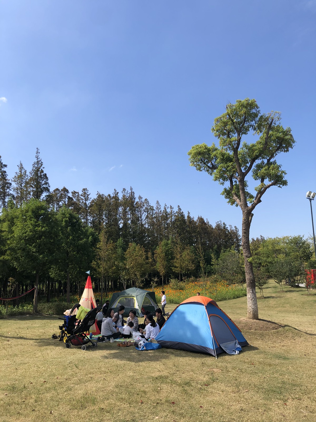 Shanghai Morning Glamping