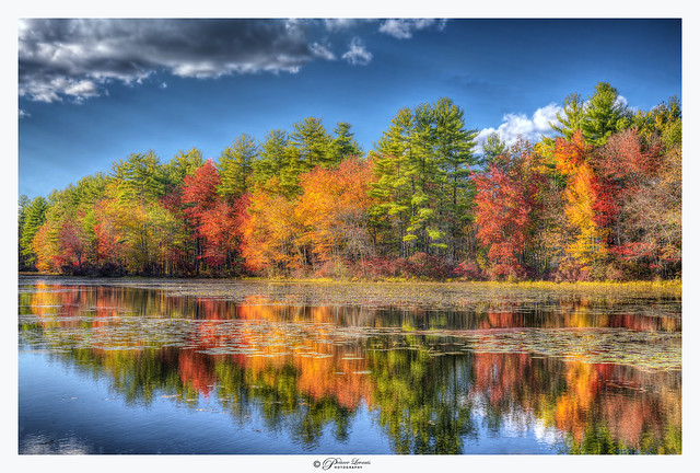Autumn explodes on Holt's pond in New Hampshire